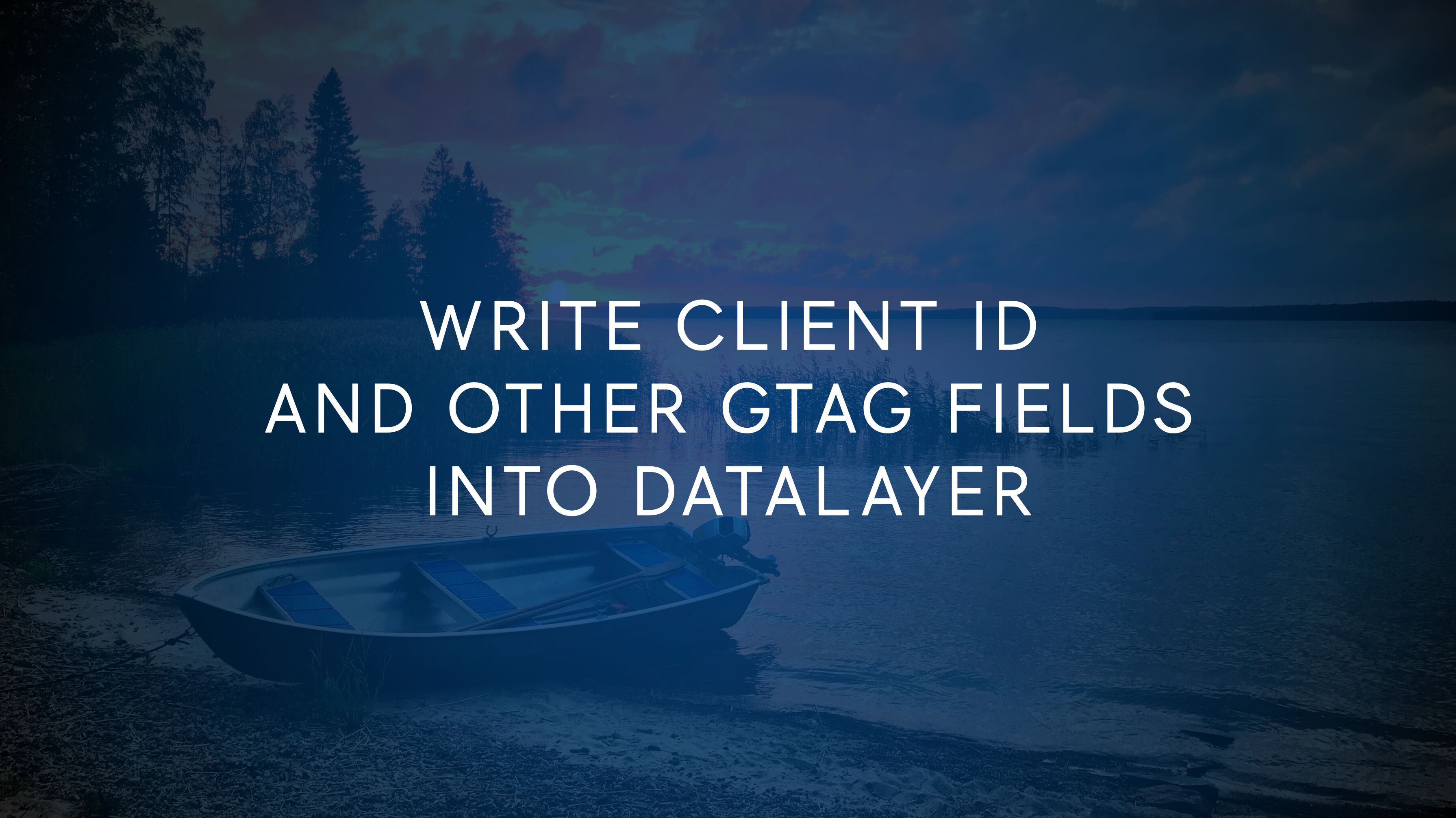 #GTMTips: Write Client ID And Other GTAG Fields Into dataLayer