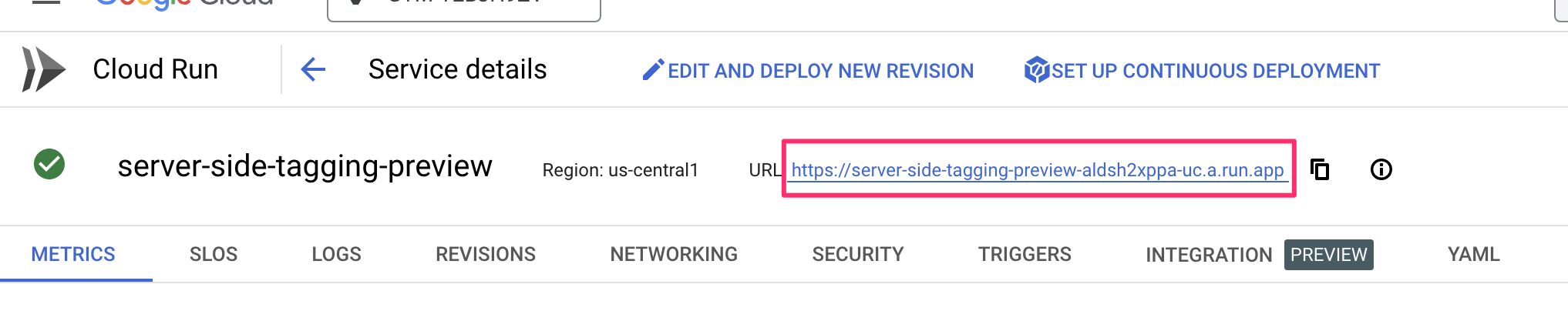 Preview server URL
